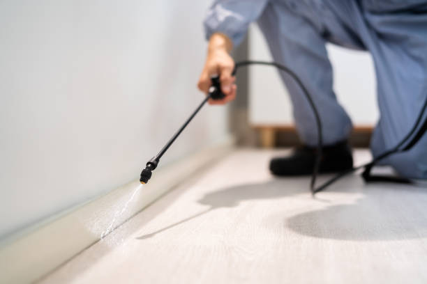 Bed Bug Pre-Treatment Preparation Assessment in Kingstowne
