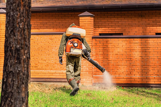 Bed Bug Clearance Verification and Documentation in Kingstowne